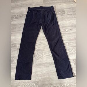 GAP Men’s Slim Corduroy Pants Blue 31 X 30